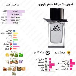 Mr. Burberry Burberry for men