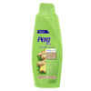 شامپو پرت پلاس زنجبیل pert plus ginger حجم 600 میل